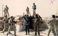 استیون بریل