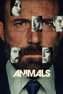 IMDB 360